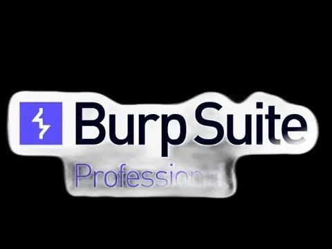 Burp Suite Professional v2024.5 İndir Pc Için ( Türkiye )